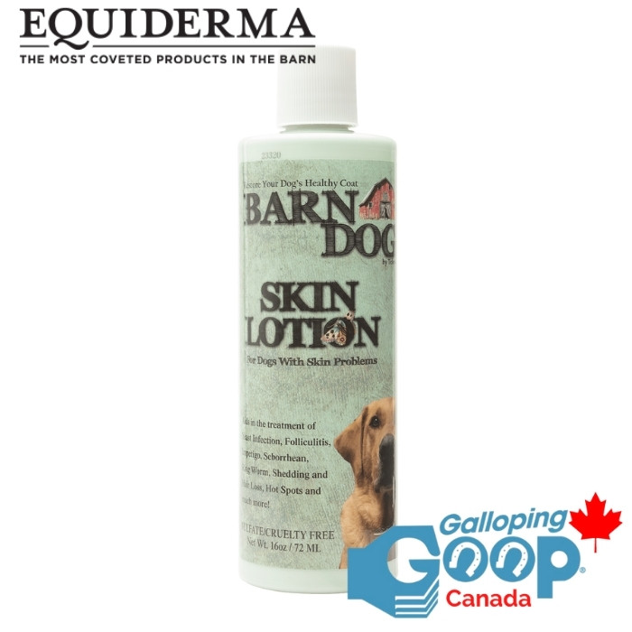 520 - Equiderma Lotion Barn Dog 